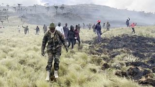 Kenya: Firefighters extinguish blaze at Aberdare National Park