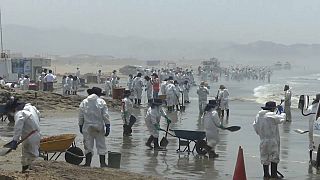 Decenas de personas contratadas recogen crudo en las costas de Perú.