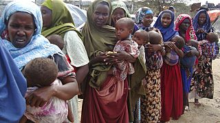 Corne de l'Afrique : 13 millions de personnes menacées de famine 