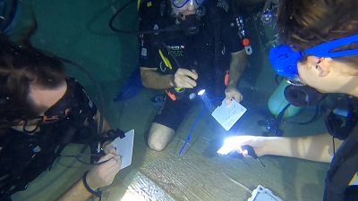 Players at the bottom of the first basin of 4m depth, who inspect the evidence