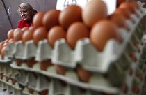 Egy év alatt az élelmiszerek közül a tojás drágult legjobban, több mint 30 százalékkal