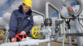 A technician works at a valve in the Natural Gas Compress Station in Sayda, eastern Germany, March 12, 2008. 