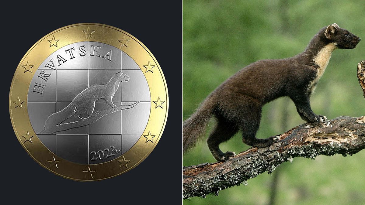 Croatia pulls design for €1 coin after plagiarism allegations