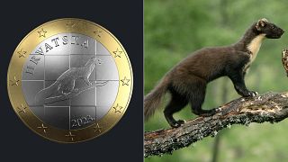 The designer of this 1 euro coin was accused of stealing the design from a photograph from Photographer Iain Leach.