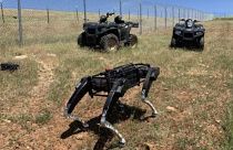 Robot dogs are being tested out along the US border with Mexico with a view to using them regularly to patrol the border area.