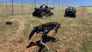 Robot dogs are being tested out along the US border with Mexico with a view to using them regularly to patrol the border area.