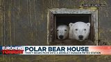 Thirty bears play house in the Russian arctic