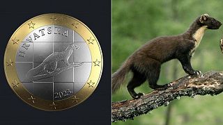 طراح یک سکه یک یورویی در کرواسی متهم به سرقت هنری از عکسی از ایین لیچ شد