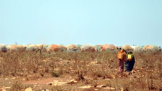 Rising food prices choke drought-hit Somalia