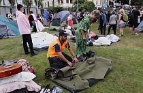 Protestierende in Neuseeland räumen ihr Lager