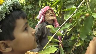 En Arabie Saoudite, la culture du café se transmet de père en fils