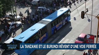 La Tanzanie et le Burundi rêvent d'une voie ferrée [Business Africa]