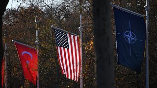 NATO ülkeleri bayrakları