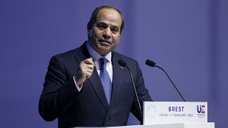 Egyptian president lists efforts to preserve marine life at ocean summit