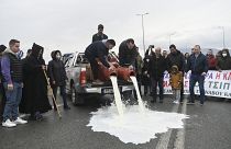 مزارعون يسكبون الحليب في اليونان