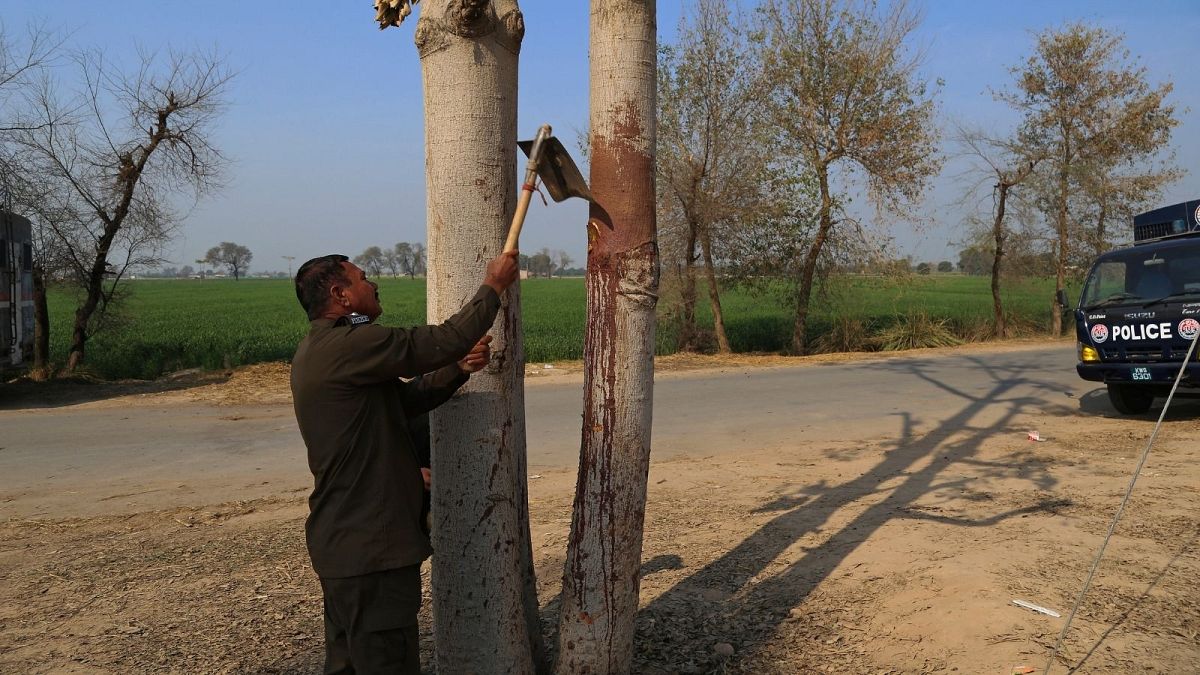 جسد مرد پاکستانی را پس از سنگسار به درخت آویزان کردند