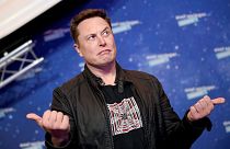 Tesla boss Elon Musk said the "fun police" were to blame for the Boombox feature's demise