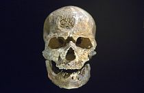 Descobertas indicam que Homo Sapiens existe na Europa há mais tempo