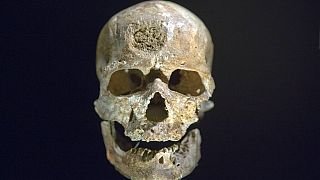 Francia, scoperto il più antico insediamento di Homo sapiens in Europa