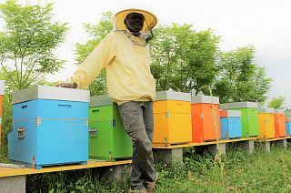 Abdoul Sane with his hives