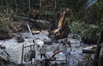 Illegális aranybányászat az Amazonas dzsungelében, Para államban