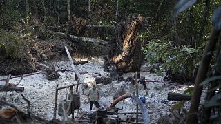 Illegális aranybányászat az Amazonas dzsungelében, Para államban