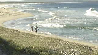 Strand unweit von Sydney nach einem vorherigen Hai-Angriff - 2018