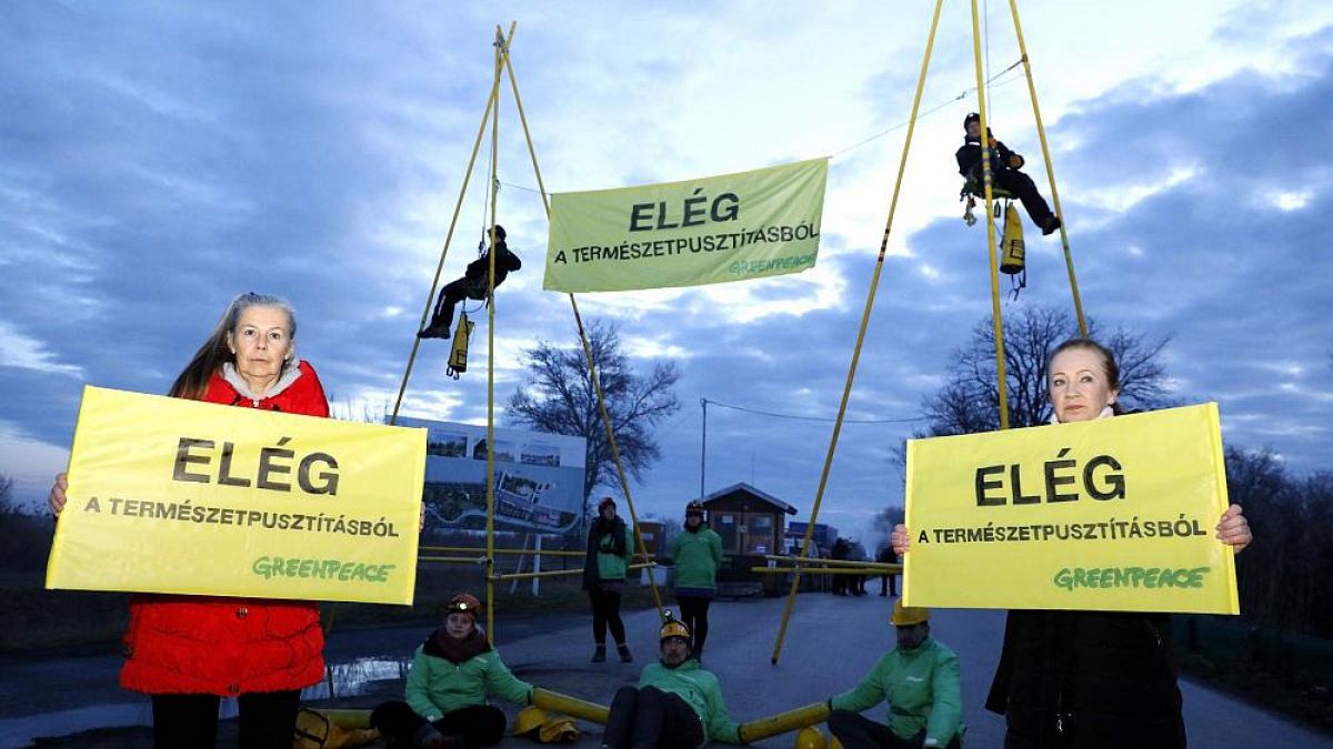 Greenpeace-Protest am Neusiedler See gegen ein gigantisches Bauvorhaben