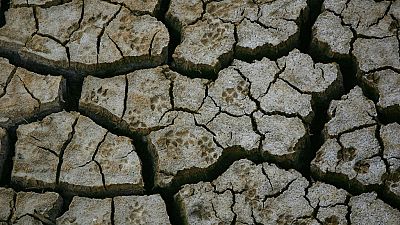 Morocco allocates $1 billion to mitigating drought