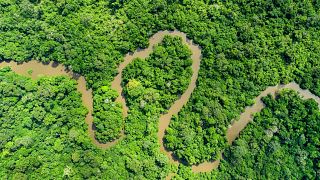 A river meanders through trees in the Congo Basin