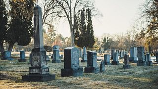 Tombstones in a grass field