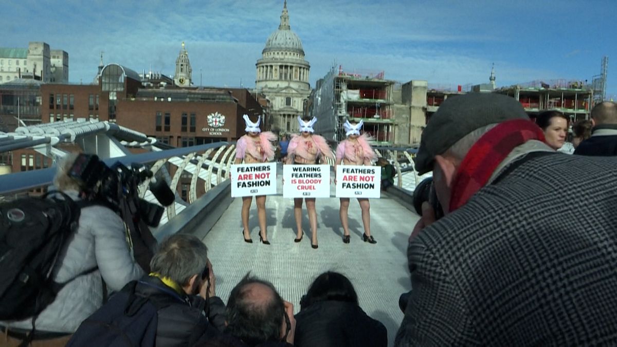 تصاویری از لندن؛ اعتراض حامیان حقوق حیوانات به استفاده از پَر در صنعت مد