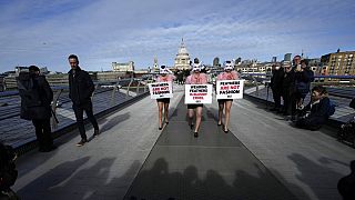 Manifestantes de PETA UK en el Millennium Bridge en Londres