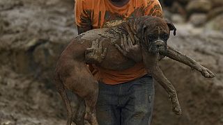 Homem transporta cão resgatado dos escombros resultantes de deslizamento de terras em Petrópolis, Brasil