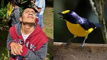 Colombia is making wildlife accessible to all through inclusive birding tours aimed at the visually impaired