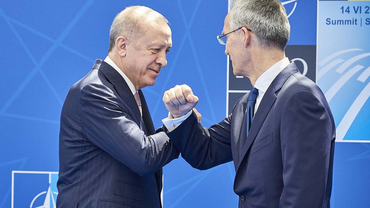 Cumhurbaşkanı Erdoğan NATO Genel Sekreteri Stoltenberg ile Ukrayna krizini görüştü 