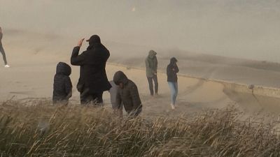 People walking on beach with grass blowing in the wind
