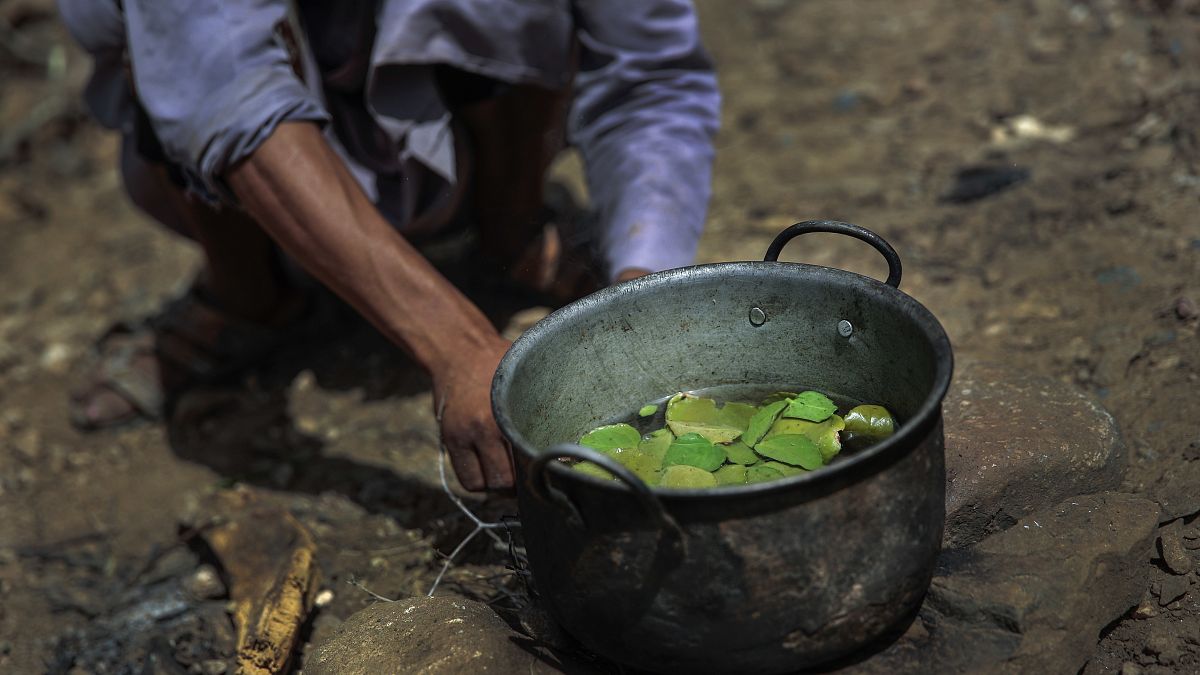 رجل يطبخ وجبة لأطفاله تتكون من أوراق الأشجار والماء في حجة، اليمن.