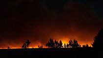 Flächenbrand in der argentinischen Provinz Corrientes