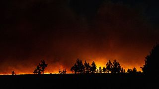 Un incendie près de Santo Tome, province de Corrientes, Argentine, le 18 février 2022