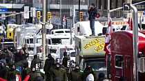 Kanada'da 'Özgürlük Konvoyu' protestocularına gözaltı
