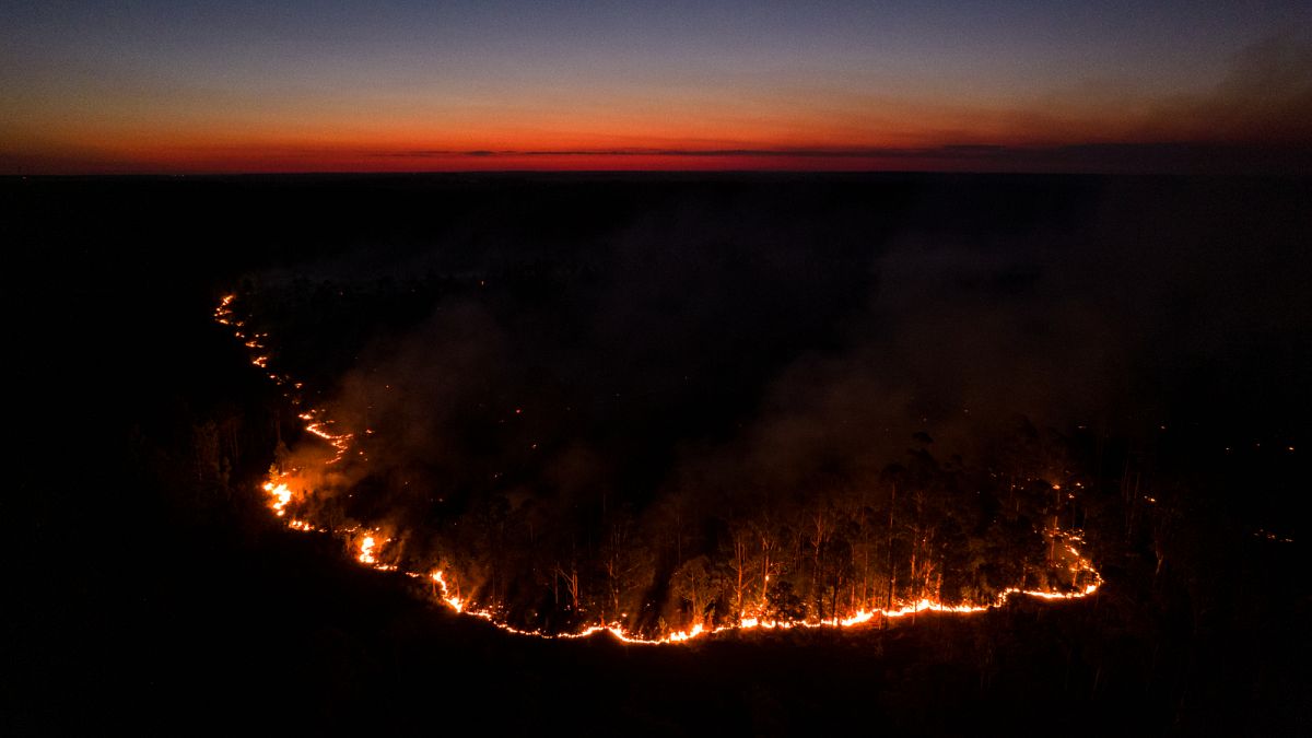 حريق يلتهم غابة بالقرب من لا كروز في مقاطعة كورينتس بالأرجنتين - الجمعة 18 فبراير 2022.
