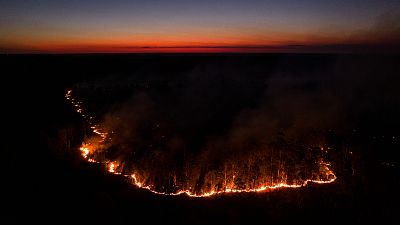 حريق يلتهم غابة بالقرب من لا كروز في مقاطعة كورينتس بالأرجنتين - الجمعة 18 فبراير 2022.
