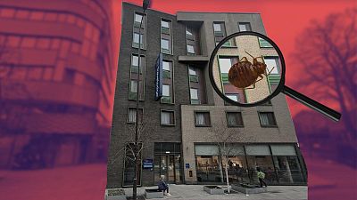 A woman reported finding bedbugs in the Travelodge in Finsbury Park, London.