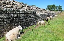Sección del muro de Adriano, Inglaterra, Reino Unido 
