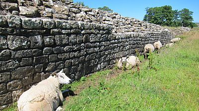 Sección del muro de Adriano, Inglaterra, Reino Unido