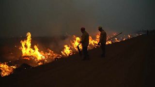 Incendios en la provincia de Corrientes, Argentina