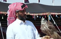 Cómo protege Qatar su 'vida salvaje' y sus tradiciones ancestrales