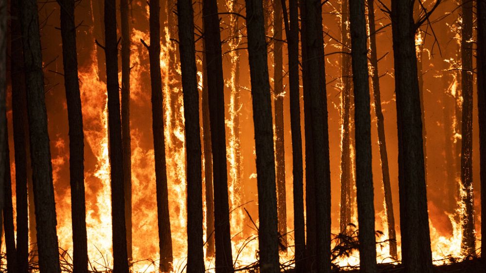 Argentina, la provincia de Corrientes arde desde hace días