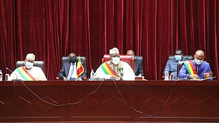 Mali parliament approves new charter allowing a five-year democratic transition